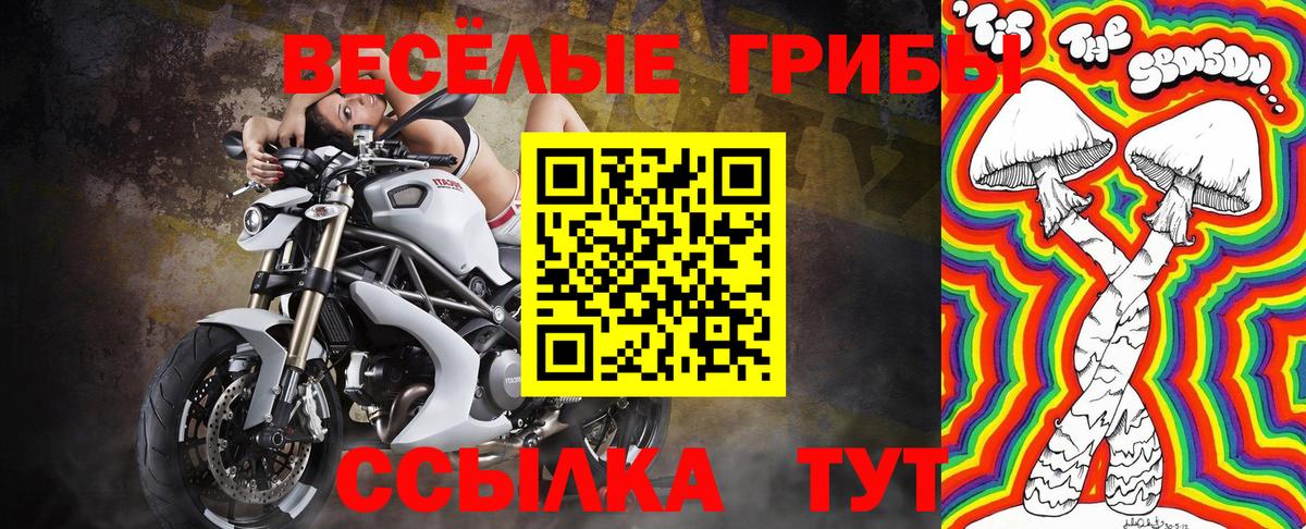 Галлюциногенные грибы ЛСД Петропавловск-Камчатский